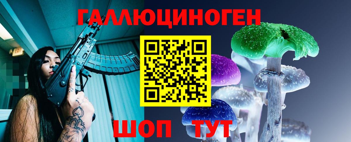 Кемерово  Псилоцибиновые грибы Psilocybine cubensis  Вход с VPN 