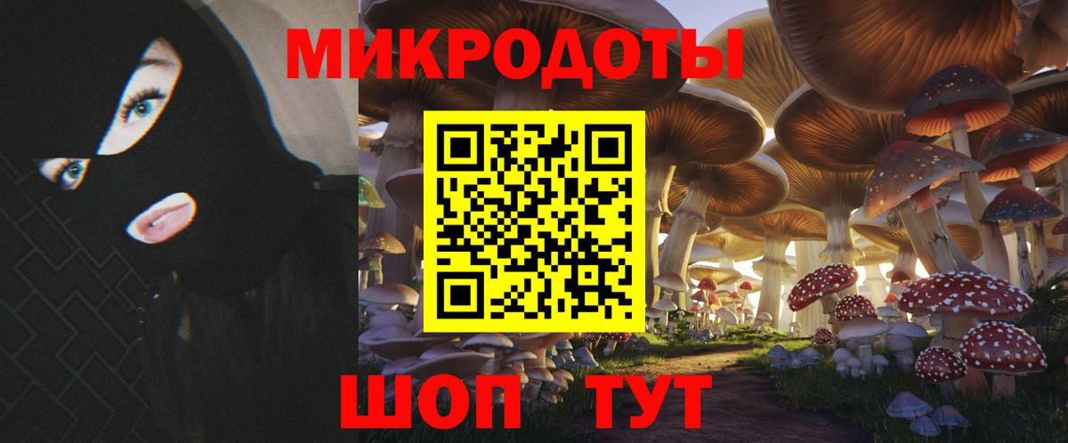 Галлюциногенные грибы Psilocybine cubensis Кемерово